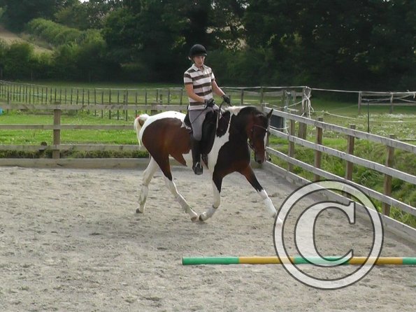 08-13-2015_143137(1)