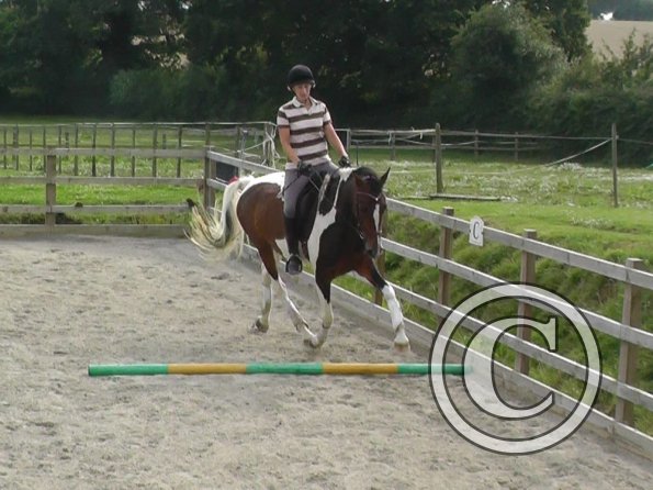 08-13-2015_143137(2)