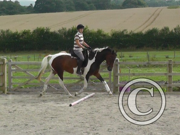 08-13-2015_143137(3)