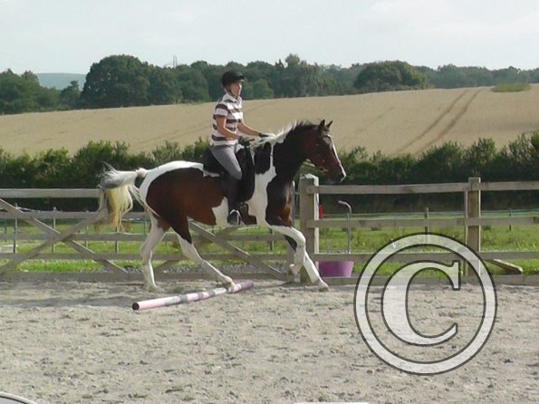 08-13-2015_145806(3)