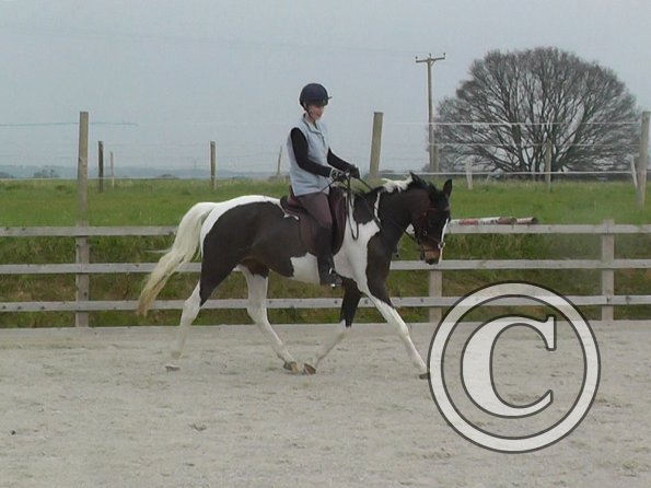 02-27-2016_093442(1)