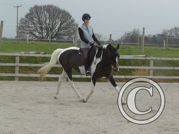 02-27-2016_093442(2)