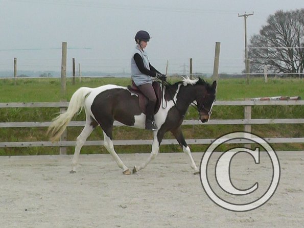 02-27-2016_093442(4)