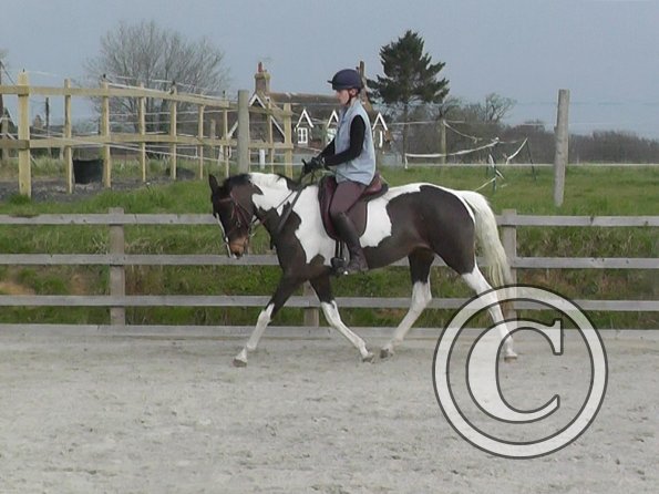 02-27-2016_094251(1)