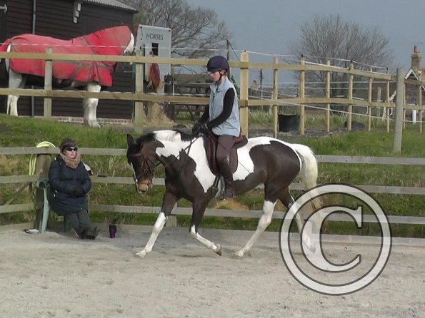 02-27-2016_094251(11)