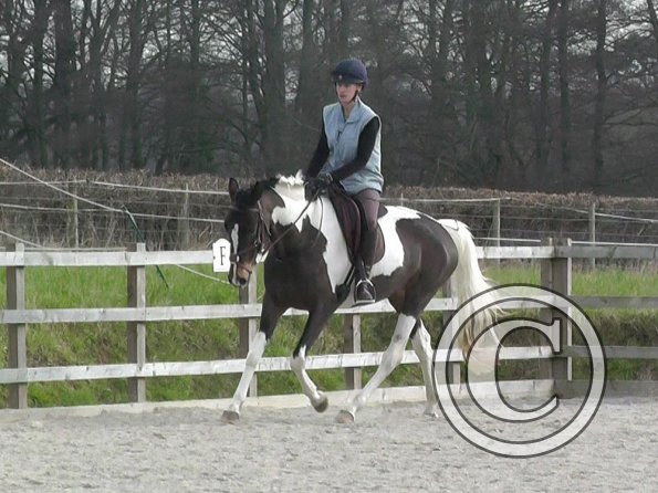 02-27-2016_094251(2)