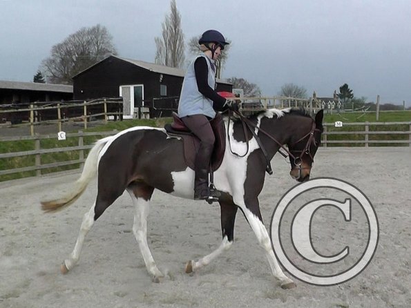 02-27-2016_094251(3)