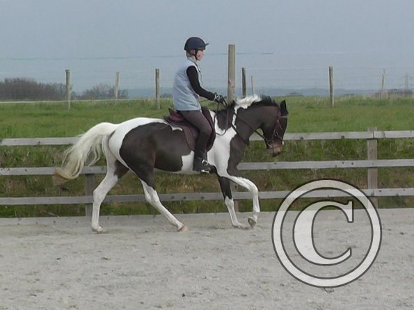 02-27-2016_094251(4)