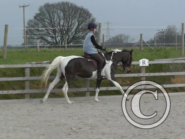 02-27-2016_094251(5)