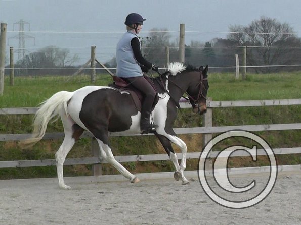 02-27-2016_094251(6)