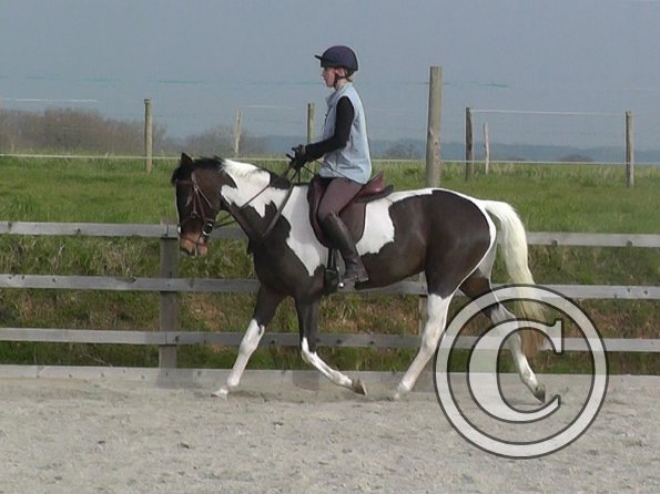 02-27-2016_094251(9)