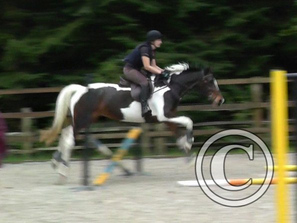 Anna and Ghost jump lesson (10)