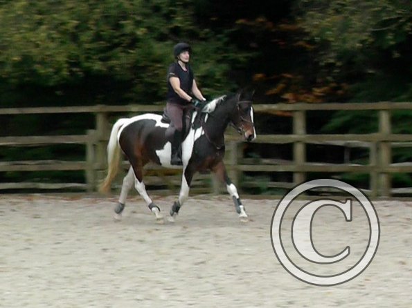 Anna and Ghost jump lesson (12)