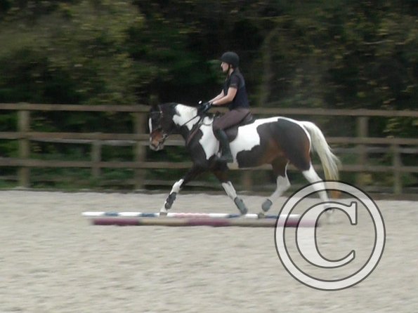Anna and Ghost jump lesson (14)
