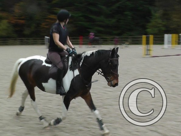 Anna and Ghost jump lesson (3)