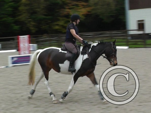 Anna and Ghost jump lesson (4)