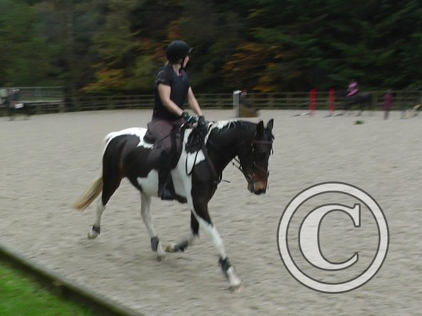 Anna and Ghost jump lesson (6)