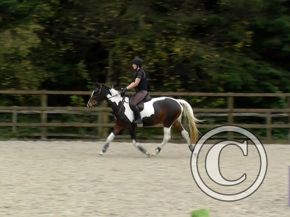Anna and Ghost jump lesson (7)