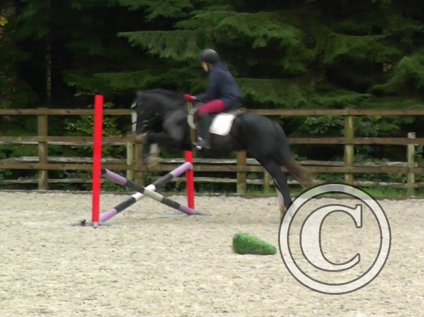 Lauren and Jess jump lesson (1)