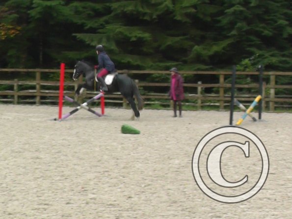 Lauren and Jess jump lesson (2)