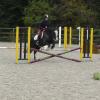 Lauren and Jess jump lesson (3)