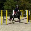 Lauren and Jess jump lesson (4)