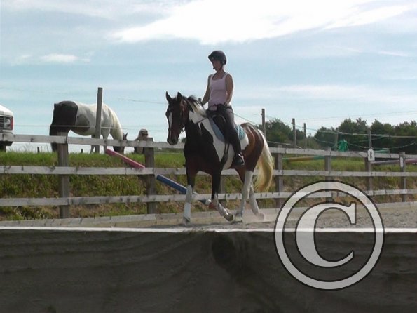 06-29-2015_082024(1)