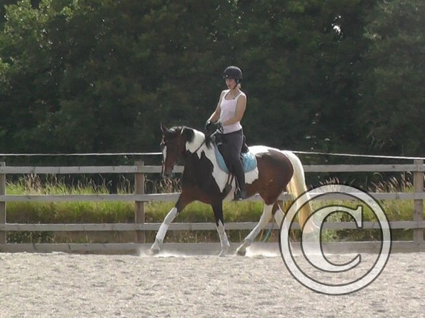 06-29-2015_083045(1)