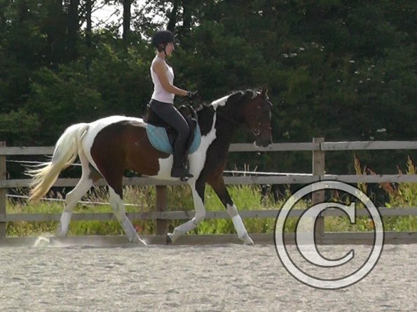 06-29-2015_083045(2)