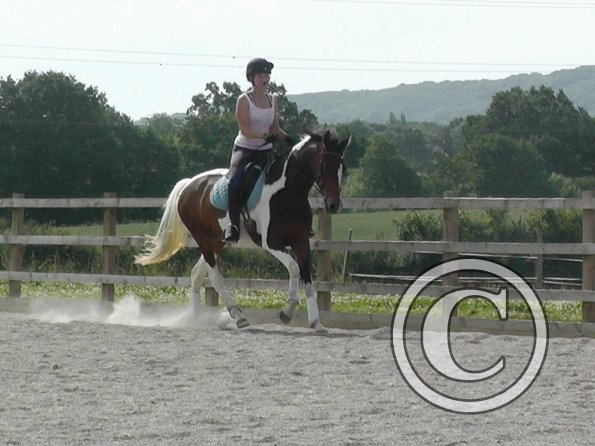 06-29-2015_083518(6)