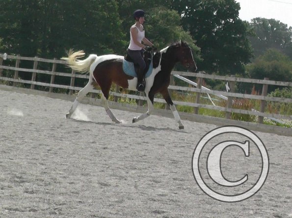 06-29-2015_084014(2)