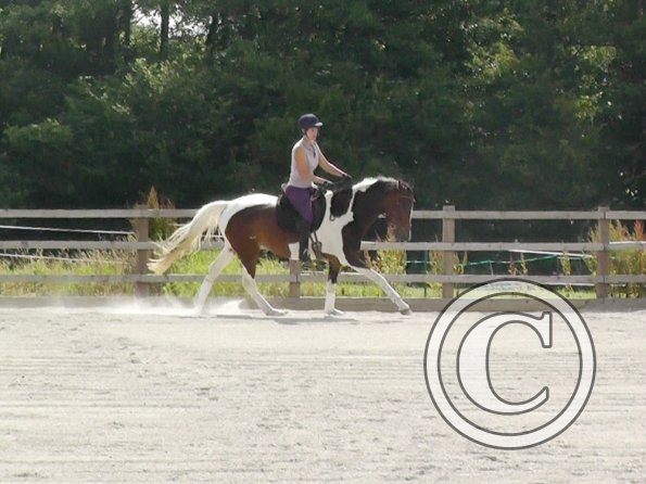 07-06-2015_090242(9)