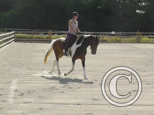 Ghost trot left bend