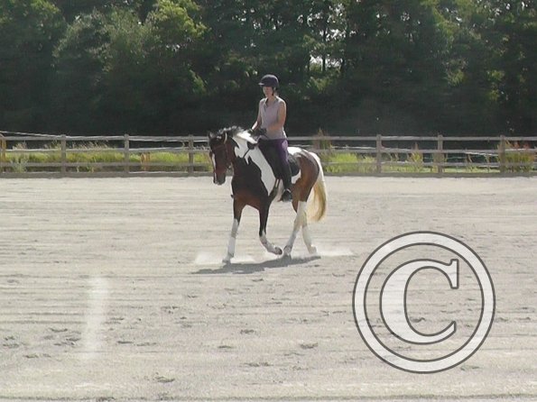 Ghost trot straight line