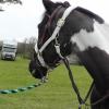 Jade XC Firle (16)