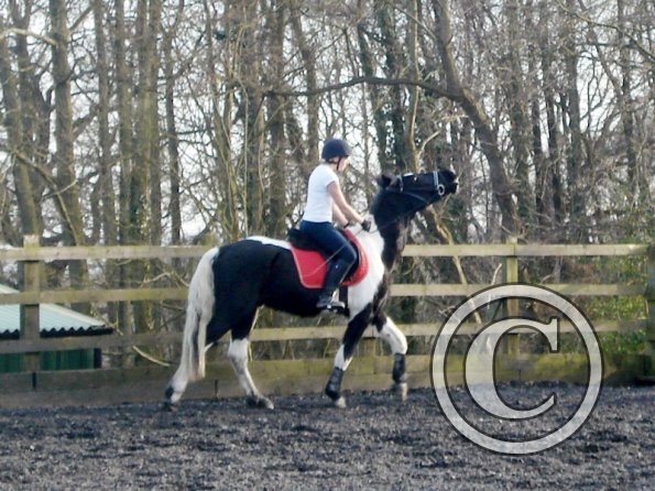 JD and Polly canter work (2)