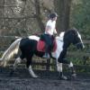 JD and Polly canter work (3)