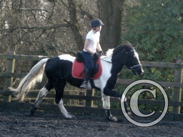 JD and Polly canter work (3)