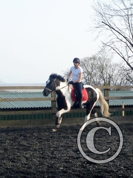 JD and Polly canter work (5)