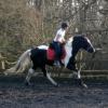 JD and Polly canter work (6)