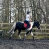 JD and Polly canter work (7)