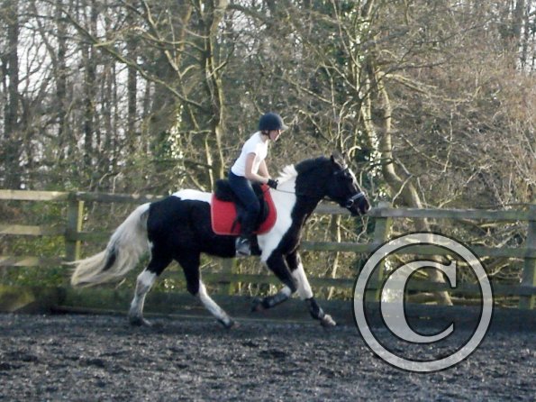 JD and Polly canter work