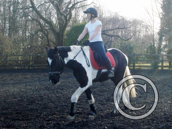 JD and Polly schooling (10)