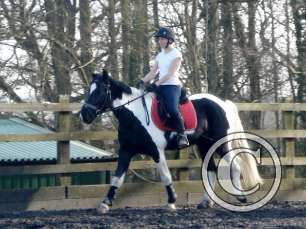 JD and Polly schooling (11)