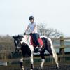 JD and Polly schooling (2)
