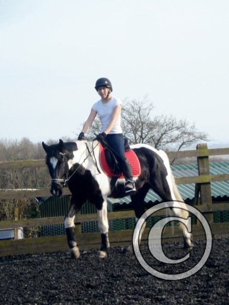 JD and Polly schooling (2)