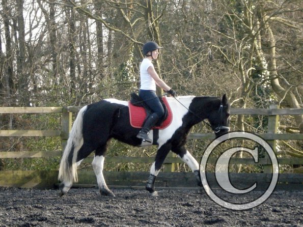 JD and Polly schooling (3)