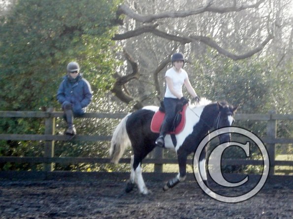 JD and Polly schooling (4)