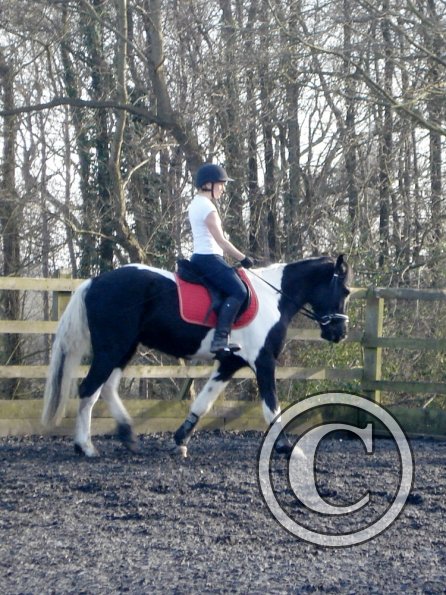 JD and Polly schooling (5)