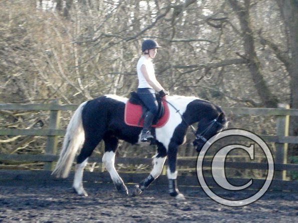 JD and Polly schooling (6)